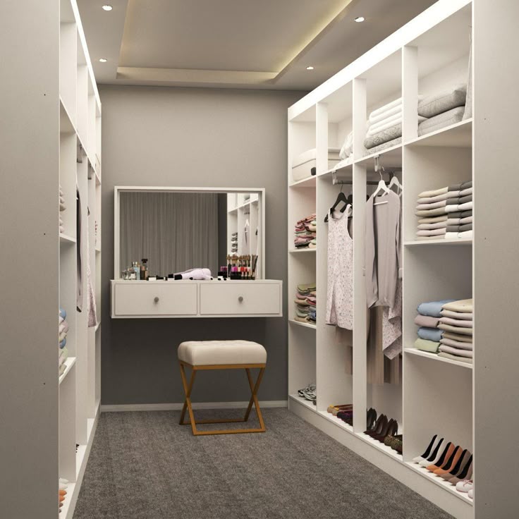 Closet Organizado